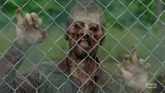 The Walking Dead Fotoğrafı