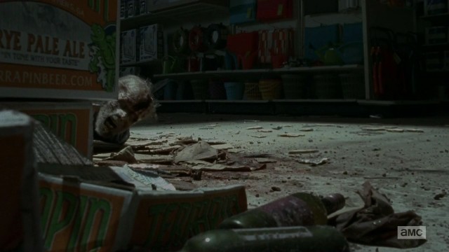 The Walking Dead Fotoğrafı