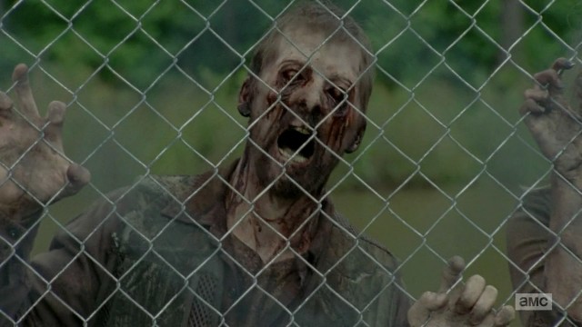 The Walking Dead Fotoğrafı