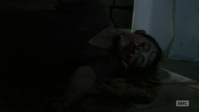 The Walking Dead Fotoğrafı