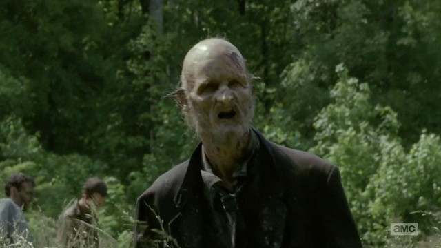 The Walking Dead Fotoğrafı