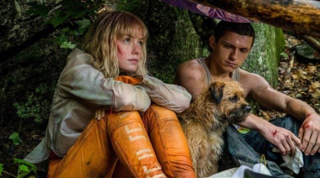 Kaos Yürüyüşü Fotoğrafı