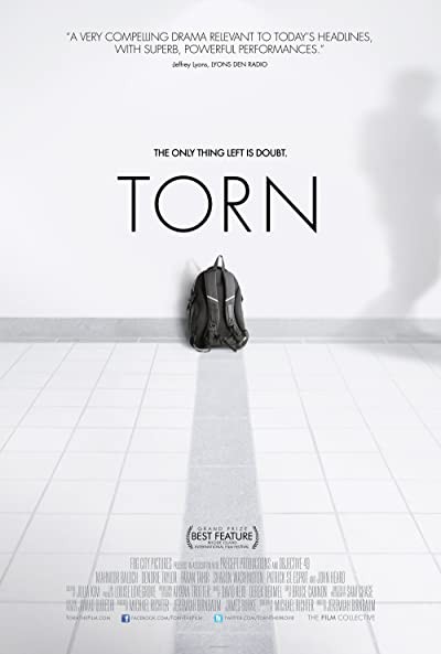 Torn (2013) afişi