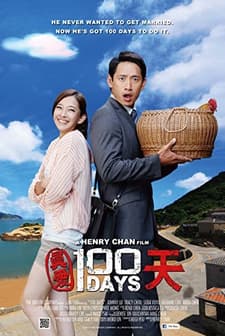 100 Days (2013) afişi