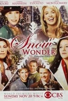 Kar Mucizesi (2005) afişi