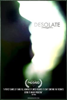 Desolate (2013) afişi