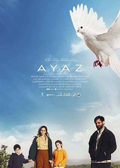 Ayaz (2017) afişi