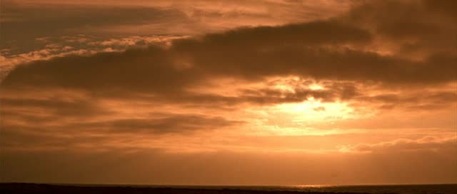 Şaşkın Fotoğrafı