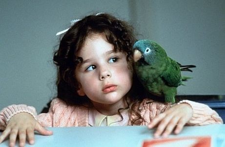 Geveze Papağan Paulie Fotoğrafı