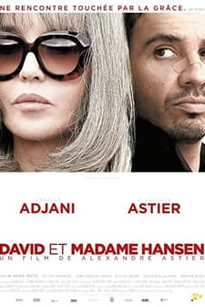 David ve Madam Hansen (2012) afişi