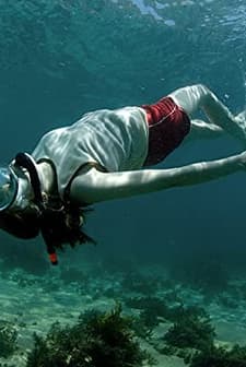 Sexy Thing (2006) afişi