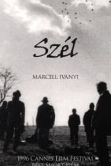 Szel (1996) afişi