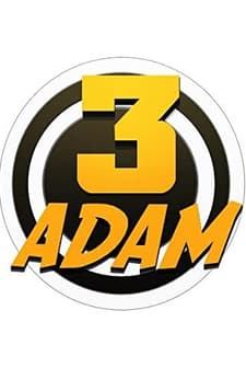 3 Adam (2013) afişi