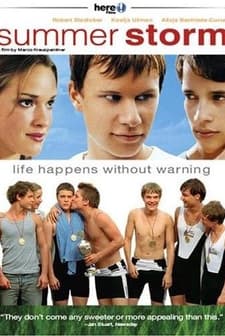Yaz Fırtınası (2004) afişi