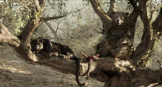 Orman Çocuğu Fotoğrafı