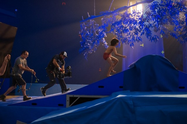 Orman Çocuğu Fotoğrafı