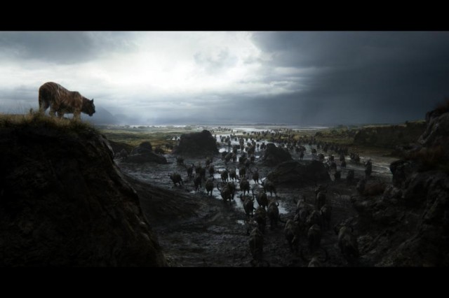 Orman Çocuğu Fotoğrafı