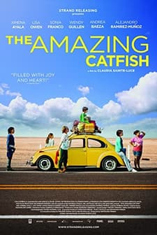 The Amazing Catfish (2013) afişi