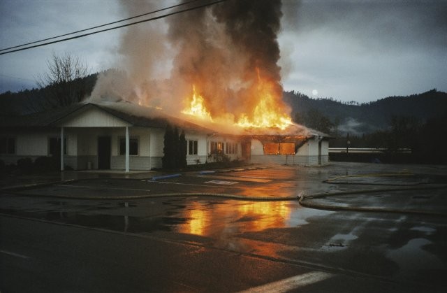 Eğer Bir Ağaç Devrilirse: Yeryüzü Özgürlük Cephesi fotoğrafı