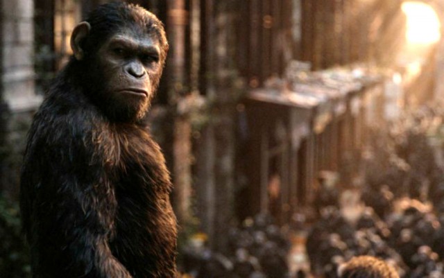 Maymunlar Cehennemi: Savaş Fotoğrafı