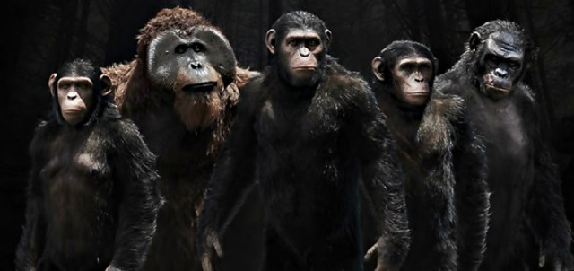 Maymunlar Cehennemi: Savaş fotoğrafı