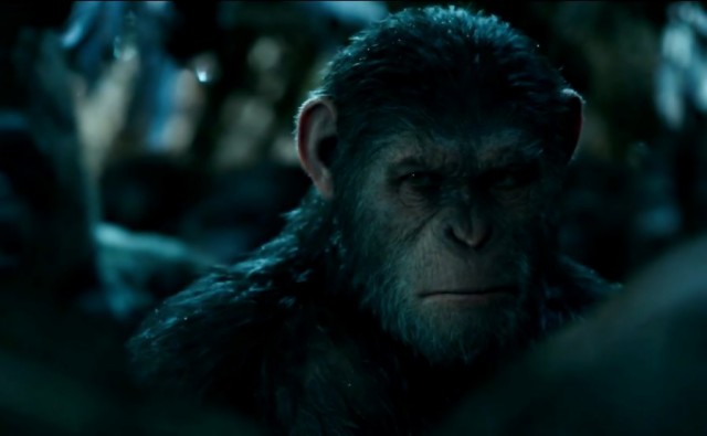 Maymunlar Cehennemi: Savaş Fotoğrafı