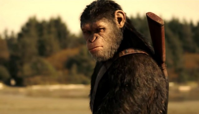 Maymunlar Cehennemi: Savaş Fotoğrafı