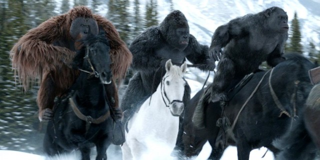 Maymunlar Cehennemi: Savaş Fotoğrafı