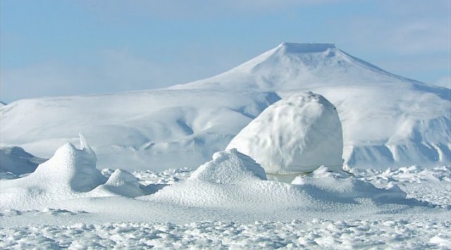 Ayılar ve Ormandaki Casus fotoğrafı