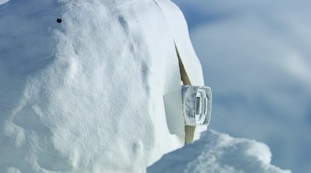 Ayılar ve Ormandaki Casus fotoğrafı