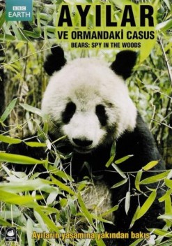 Ayılar ve Ormandaki Casus (2004) afişi