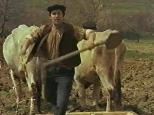 Köyden İndim Şehire fotoğrafı