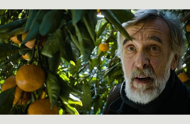 Mandalina Bahçesi Fotoğrafı