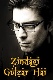 Zindagi Gulzar Hai (2012) afişi