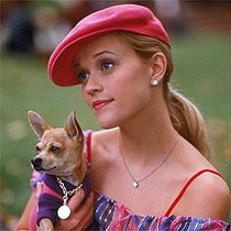 Bu Nasıl Sarışın fotoğrafı