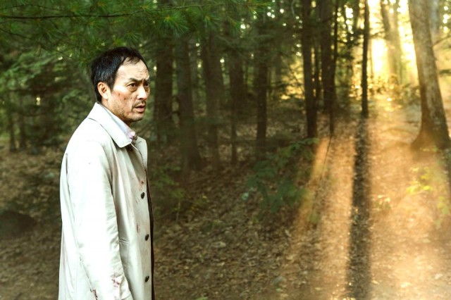 Sonsuzluk Ormanı Fotoğrafı