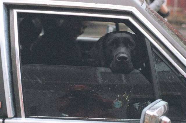 Glass Chin Fotoğrafı