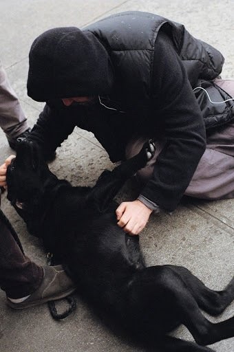 Glass Chin Fotoğrafı