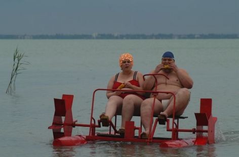 Taxidermia Fotoğrafı