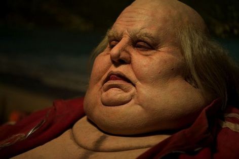 Taxidermia Fotoğrafı