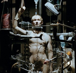 Taxidermia Fotoğrafı