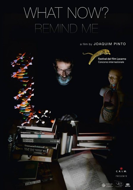 Peki Şimdi? Hatırlat Bana (2013) afişi