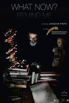 Peki Şimdi? Hatırlat Bana (2013) afişi