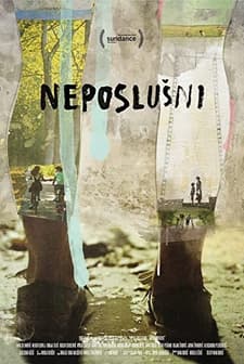 Haylaz (2014) afişi