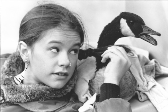 Eve Uçuş Fotoğrafı