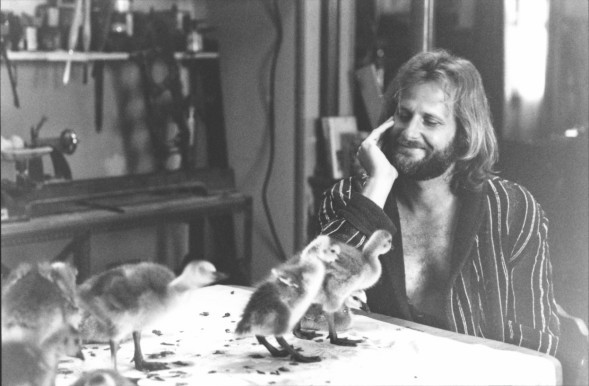 Eve Uçuş Fotoğrafı