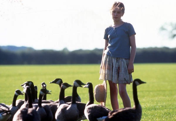 Eve Uçuş fotoğrafı