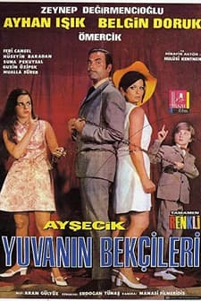 Ayşecik Yuvanın Bekçileri (1969) afişi