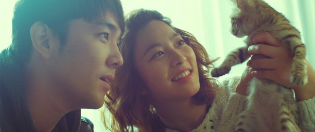 The Cat Funeral Fotoğrafı