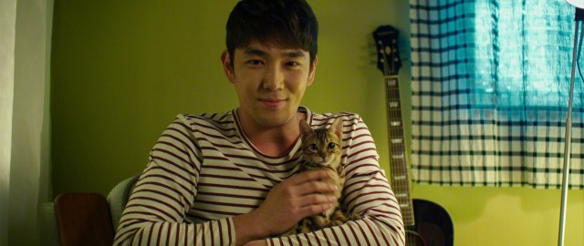 The Cat Funeral fotoğrafı